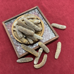 澳洲海参 - 图片 2