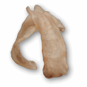 New Zealand Ling Fish Maw