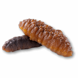 Dried Sea Cucumber